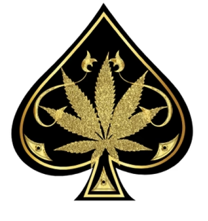 Ace Carts