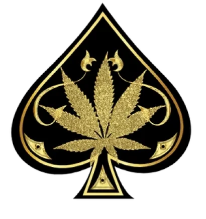 Ace Carts