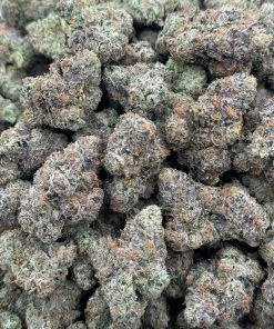 Bubblegum Runtz by Jungle 2