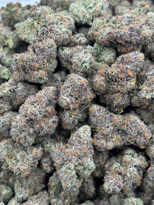 Bubblegum Runtz by Jungle 2