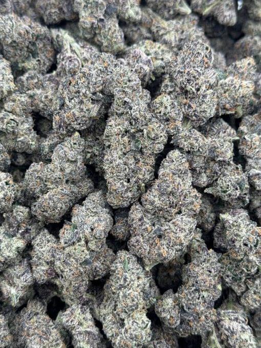 Black Runtz by Culture Farms 2